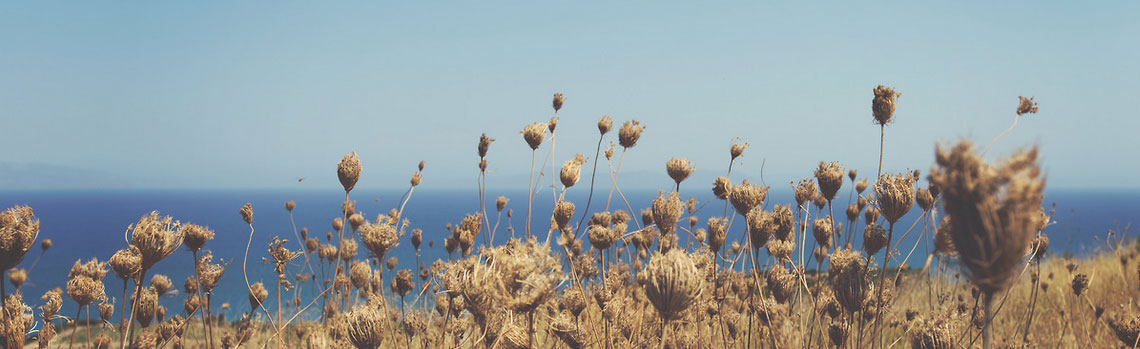 手机号炸弹防护业务